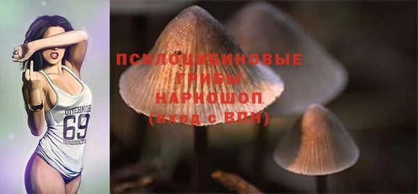 бутират Баксан