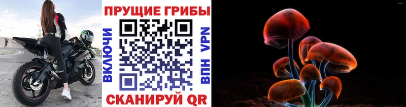 Галлюциногенные грибы мицелий  Купить  Суровикино 